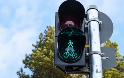 Förderprogramm Abbiegeassistent: Mehr Sicherheit für Transporter und LKWs